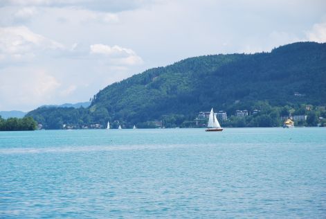 dsc_0546.jpg
